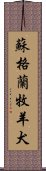 蘇格蘭牧羊犬 Scroll