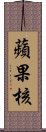 蘋果核 Scroll