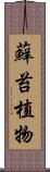 蘚苔植物 Scroll
