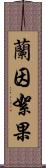 蘭因絮果 Scroll