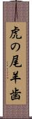 虎の尾羊歯 Scroll