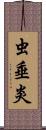 虫垂炎 Scroll