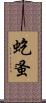 虼蚤 Scroll