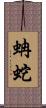 蚺蛇 Scroll
