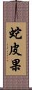 蛇皮果 Scroll