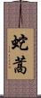 蛇蒿 Scroll