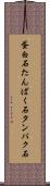 蛋白石 Scroll