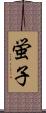 蛍子 Scroll