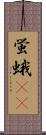 蛍蛾(rK) Scroll