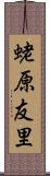 蛯原友里 Scroll