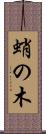 蛸の木 Scroll