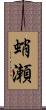 蛸瀬 Scroll