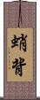 蛸背 Scroll