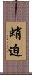 蛸迫 Scroll