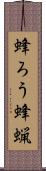 蜂ろう Scroll