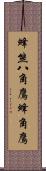 蜂熊;八角鷹;蜂角鷹 Scroll