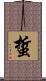 蜇 Scroll