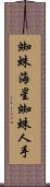 蜘蛛海星 Scroll