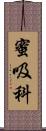 蜜吸科 Scroll