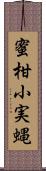 蜜柑小実蝿 Scroll