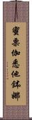 蜜栗伽悉他鉢娜 Scroll
