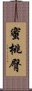 蜜桃臀 Scroll