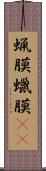 蝋膜 Scroll