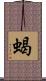 蝎 Scroll