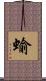 蝓 Scroll