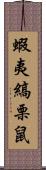 蝦夷縞栗鼠 Scroll