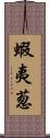 蝦夷葱 Scroll