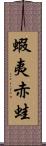 蝦夷赤蛙 Scroll