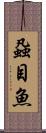 蝨目魚 Scroll