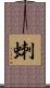 蝲 Scroll