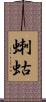 蝲蛄 Scroll