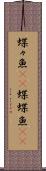 蝶々魚(rK) Scroll
