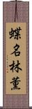 蝶名林薫 Scroll