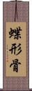 蝶形骨 Scroll