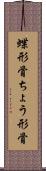 蝶形骨 Scroll