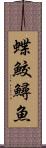 蝶鮫 Scroll