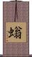 螉 Scroll