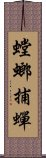 螳螂捕蟬 Scroll