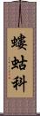 螻蛄科 Scroll