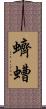 蠐螬 Scroll