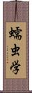 蠕虫学 Scroll