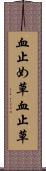 血止め草 Scroll