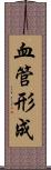 血管形成 Scroll