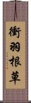 衝羽根草 Scroll