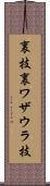 裏技 Scroll