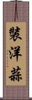 裝洋蒜 Scroll